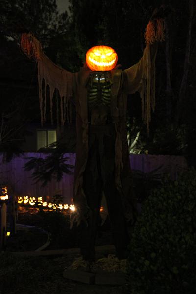 IMG_9927.JPG