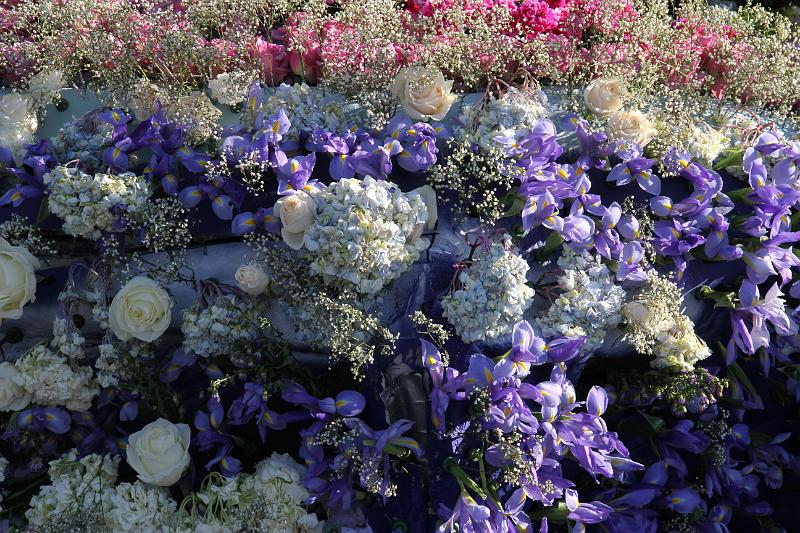IMG_1638.JPG