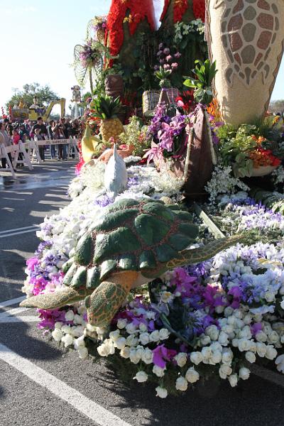 IMG_1676.JPG