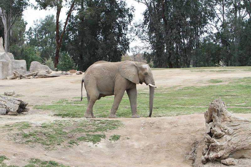 IMG_0858.JPG