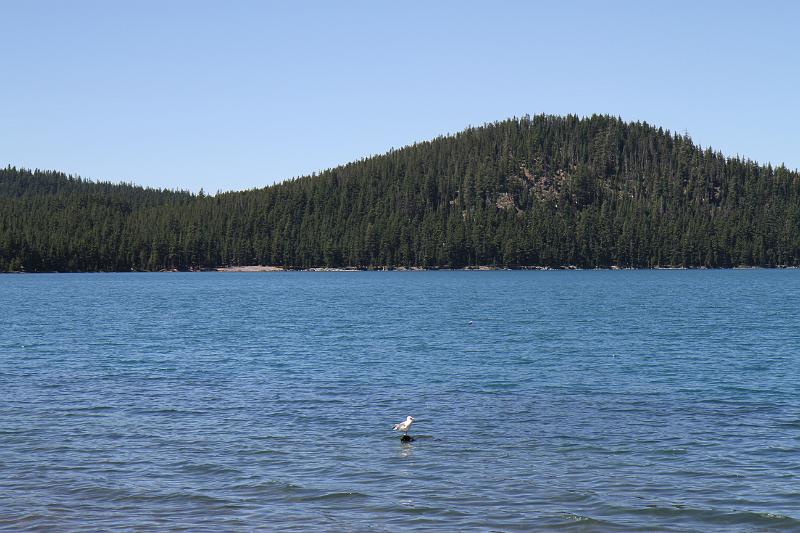 IMG_8966.JPG
