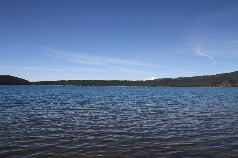 IMG_8971.JPG