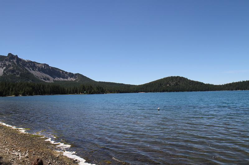 IMG_8975.JPG