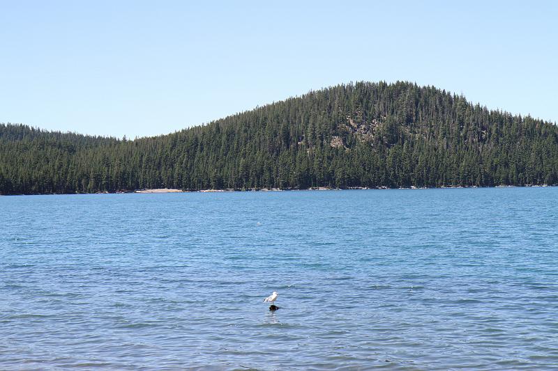 IMG_8978.JPG