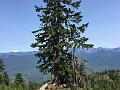 IMG_1693