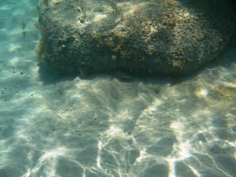 IMG_1214a.jpg