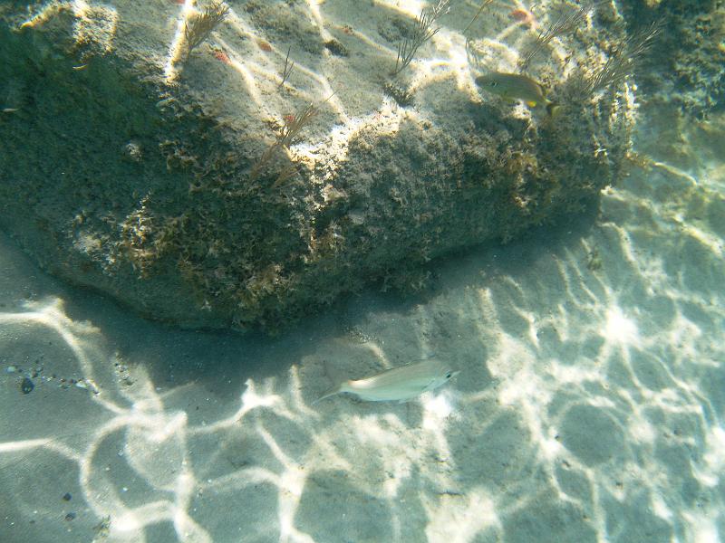 IMG_1215a.jpg