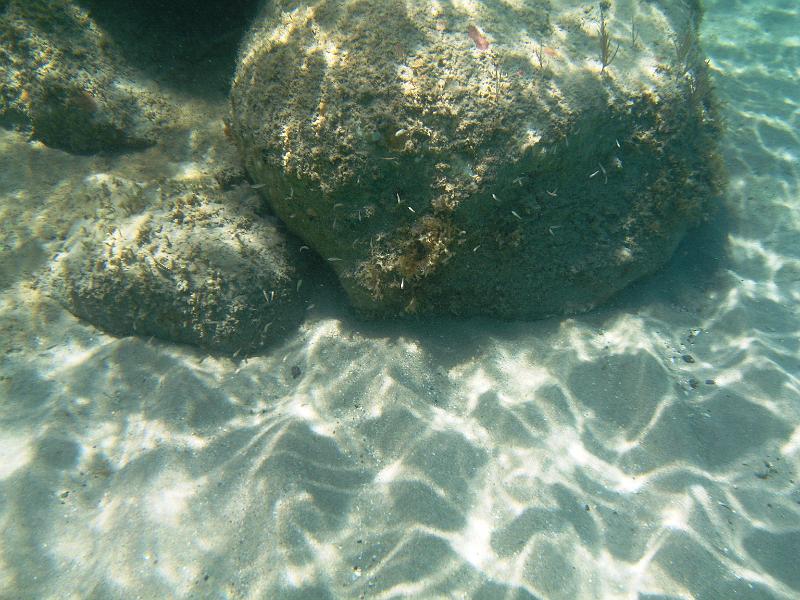 IMG_1217a.jpg
