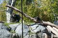 IMG_4094w