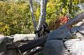 IMG_4103w