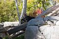 IMG_4106w