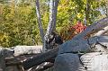 IMG_4116w