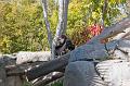 IMG_4117w