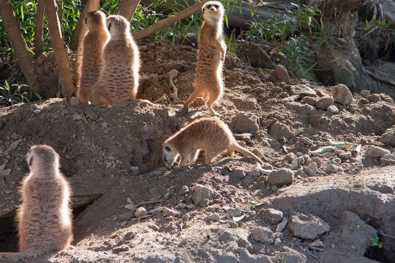 IMG_4323w.jpg