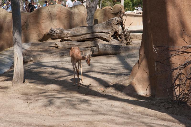 IMG_4157w.jpg