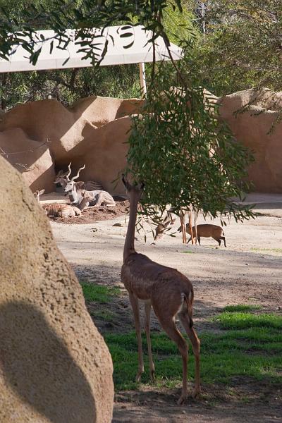 IMG_4179w.jpg