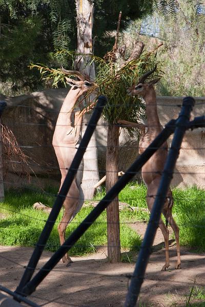 IMG_4194w.jpg